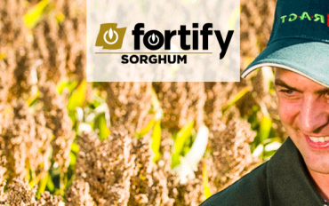 fortify SORGHUM
